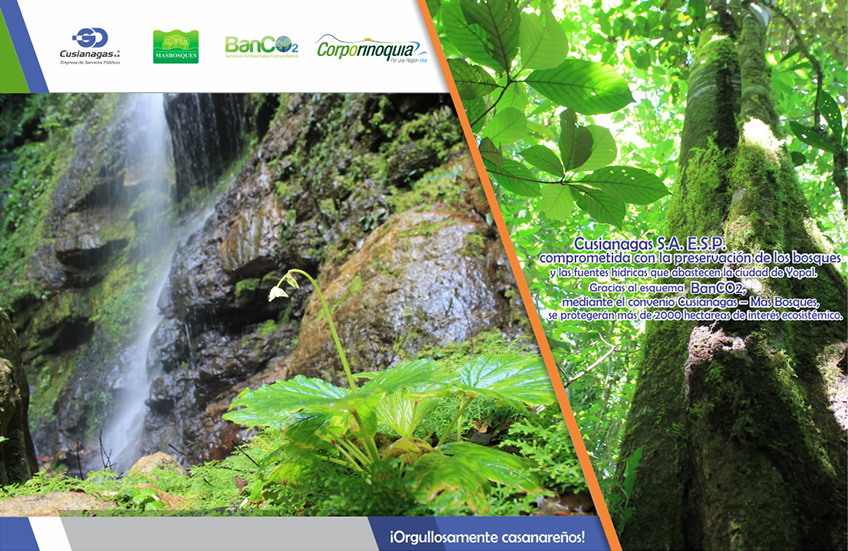 Banco CO2
